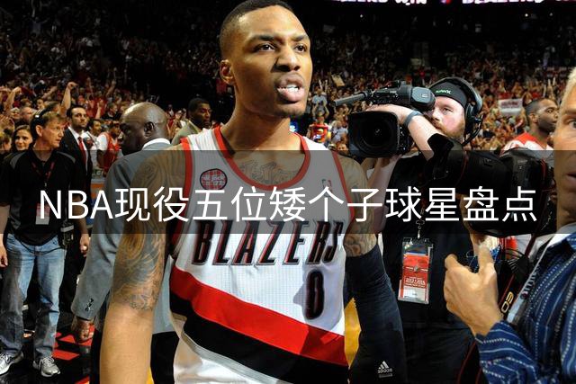 NBA现役五位矮个子球星盘点
